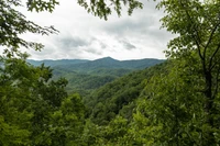 view of the Smoky Mountains in summer