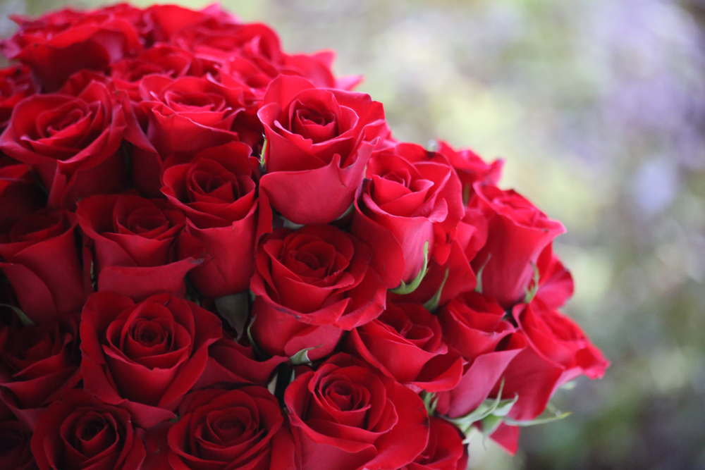 arrangement of red roses