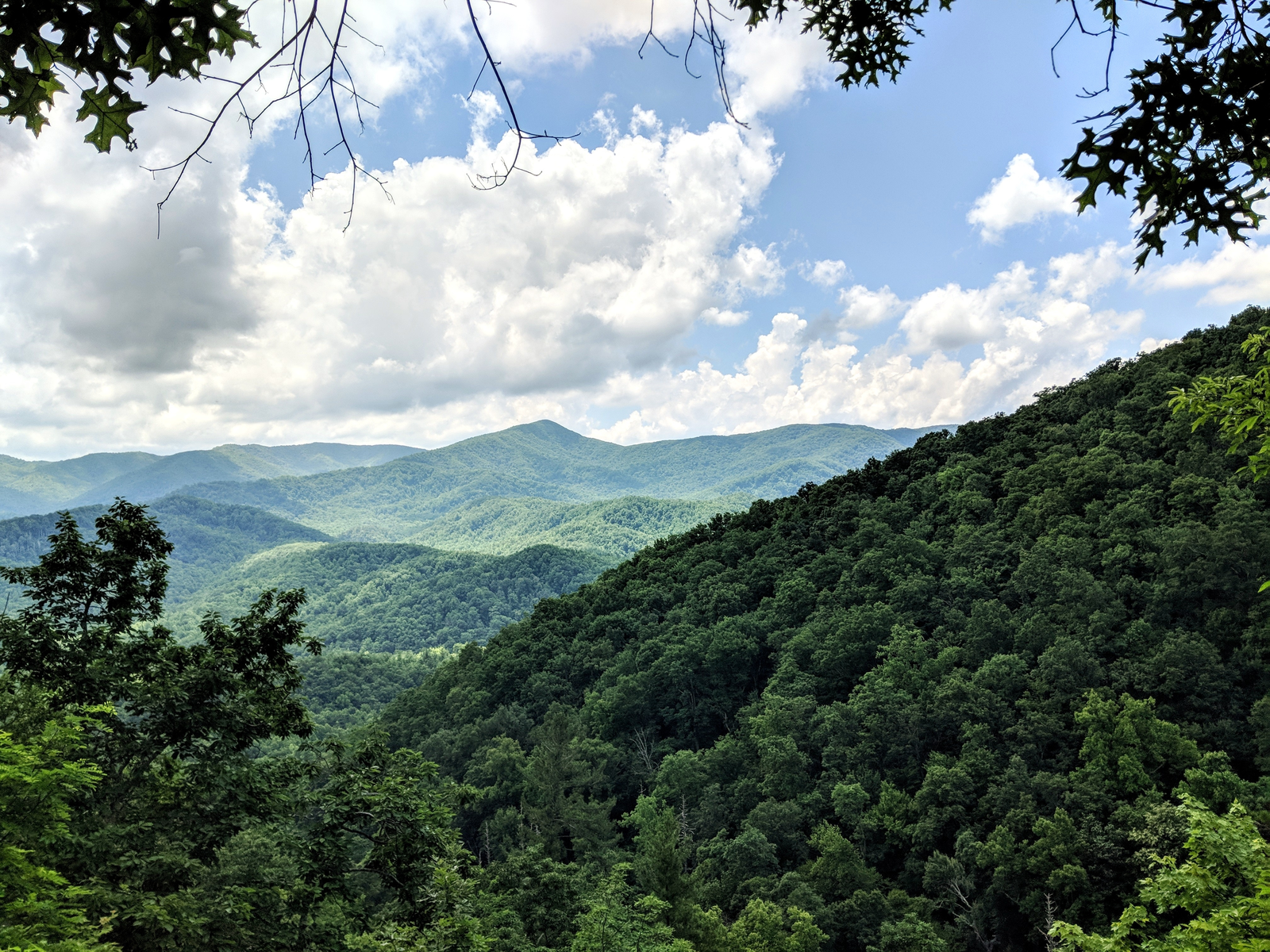 Smoky Mountain view