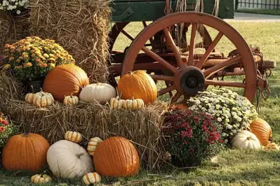 Fall festival decorations