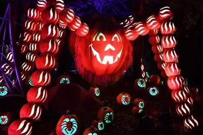 dollywood pumpkin light