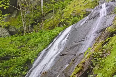 fern branch falls