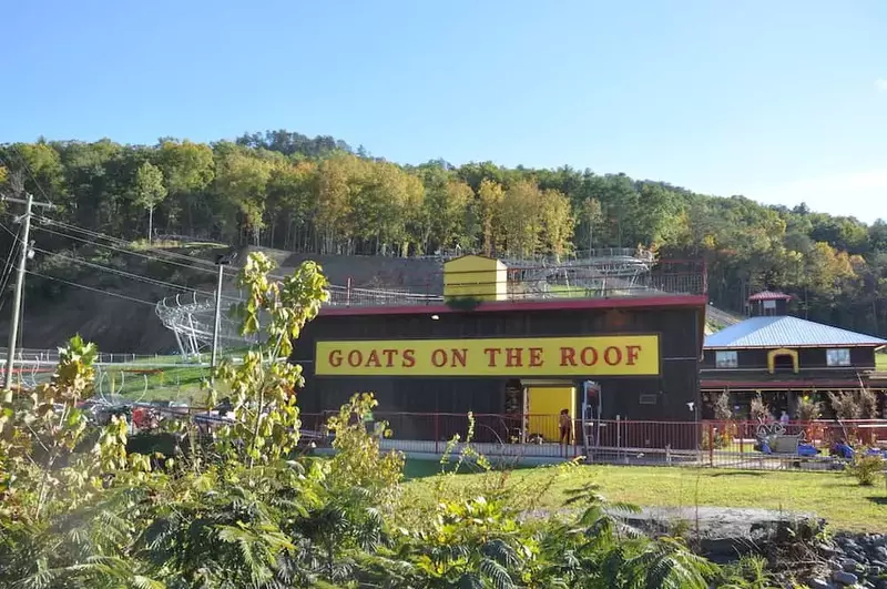 goats on the roof pigeon forge