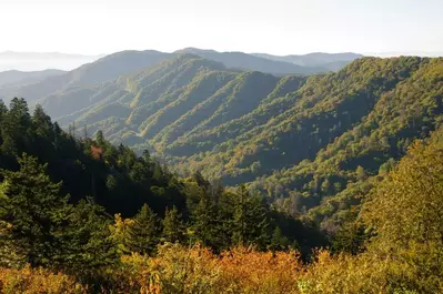 view from newfound gap