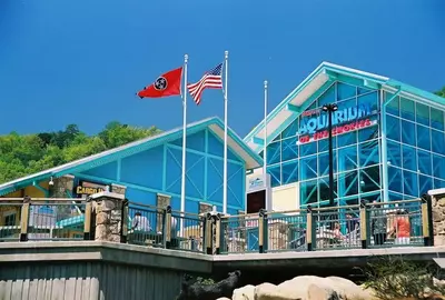 aquarium in the smokies