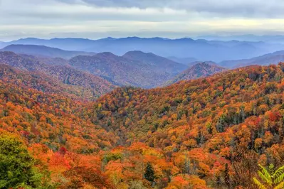 fall in the smoky mountains