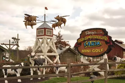 Ripley's Old McDonald's Farm 