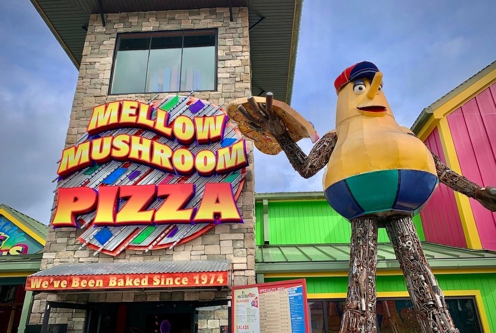 Mellow Mushroom Pizza