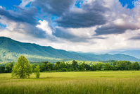 view from Cades Cove Loop Road